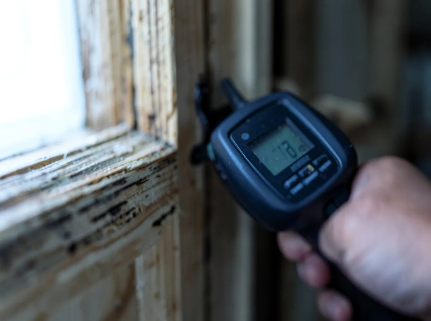 Moisture Inspection And Documentation in Portland, PA
